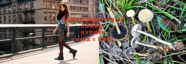 прущие крисы Новодвинск