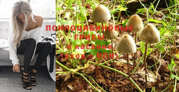 не бодяженный Новокубанск