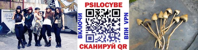 Псилоцибиновые грибы прущие грибы Купить где Югорск